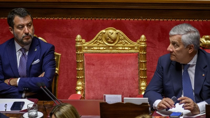 Manovra salvini tajani 